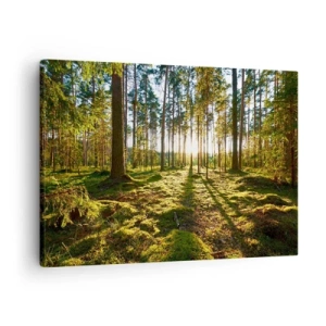 Tablou pe pânză Canvas - Pădure verde iluminată de lumina soarelui pe mușchi - 70x50cm - Pădurea misterioasă - Decorațiune modernă pentru perete pentru living și dormitor ARTTOR