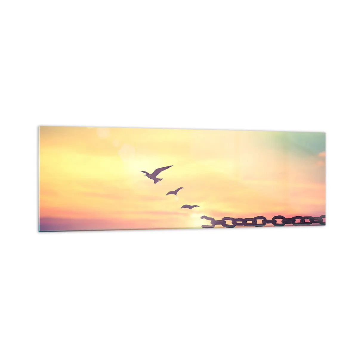 Tablou pe sticlă - Victoria libertății - 160x50 cm