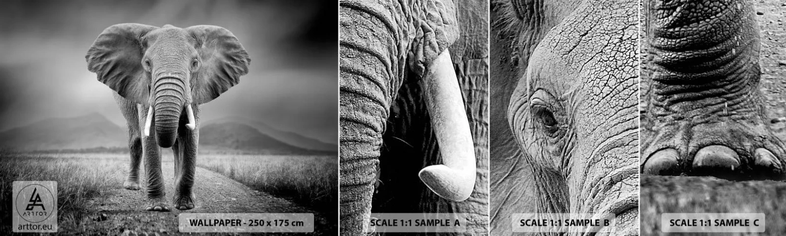 Mostră de Tapet Standard Eco - Gazda te salută - Elefant, Animale, Peisaj - 100x30 cm