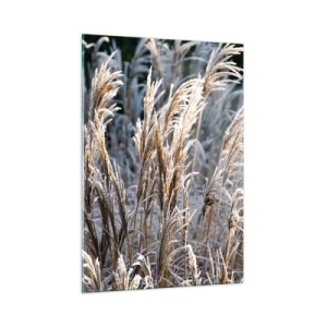 Tablou pe sticlă - Împodobite cu brumă - 50x70 cm