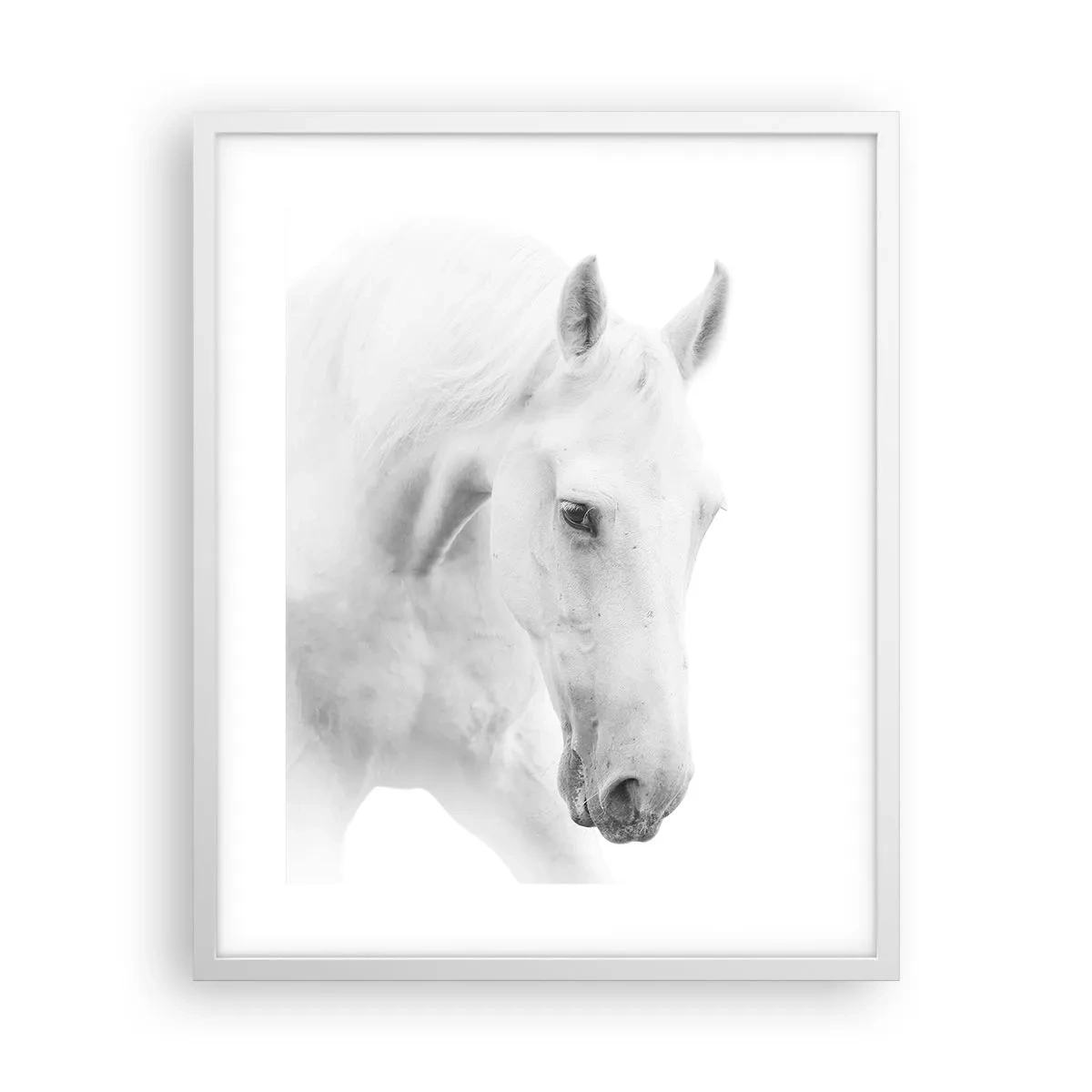 Poster în ramă albă - Este aceasta o prietenie...? - 40x50 cm