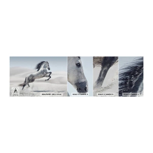 Mostră de Tapet Standard Eco - Prinț arab - Animale, Cal, Calul în galop - 100x30 cm