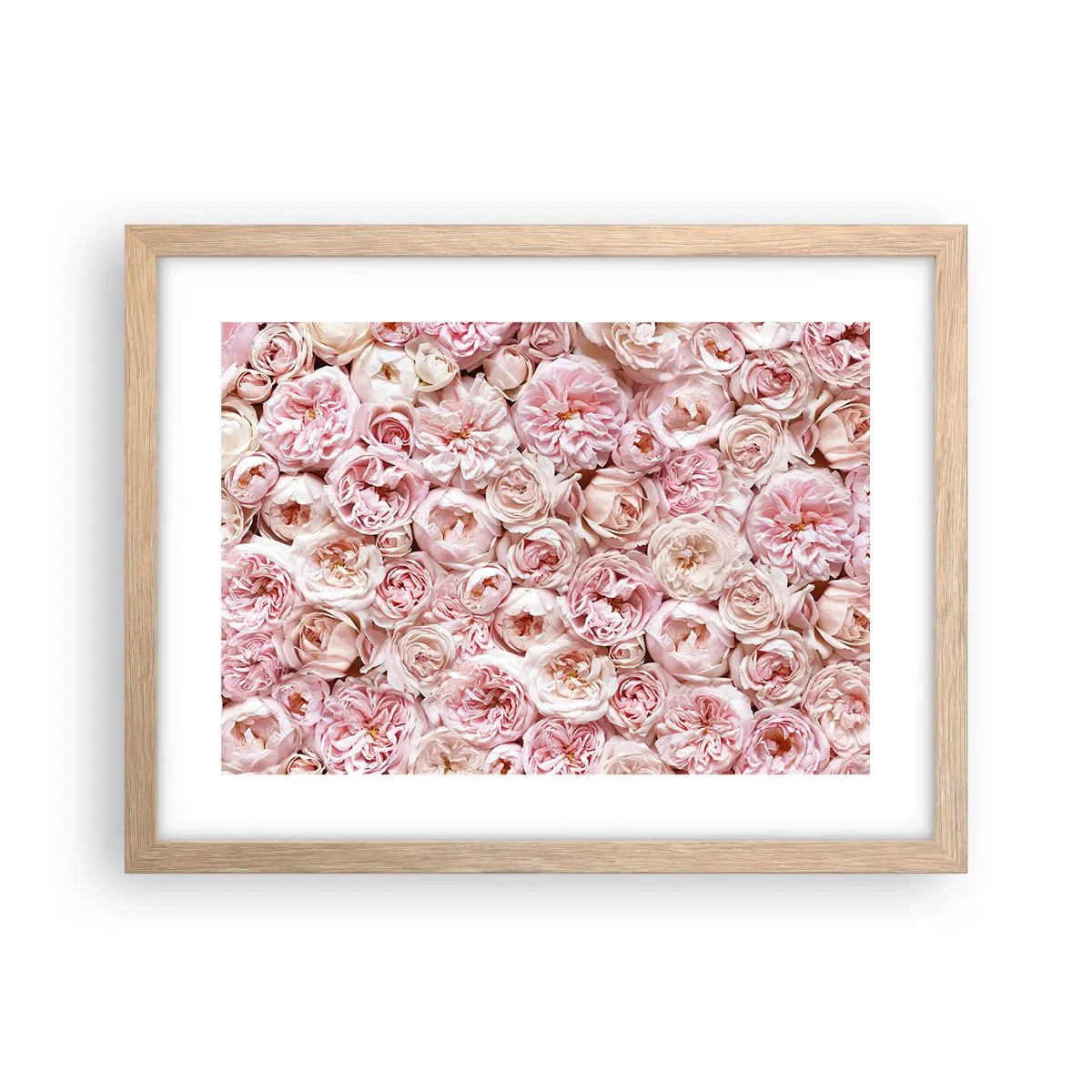 Poster în ramă de stejar deschis - Presărat cu trandafiri - 40x30 cm