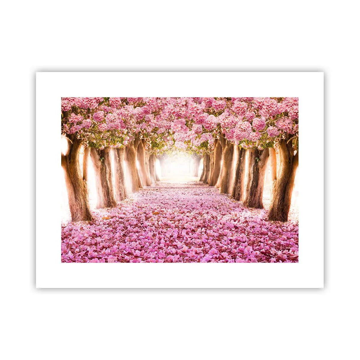 Poster - Drumul spre paradis - 40x30 cm