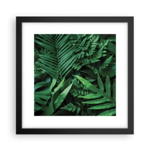 Poster în ramă neagră - Înfășurate în verde - 30x30 cm