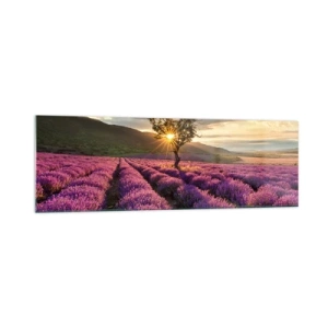 Tablou pe sticlă - Aroma în liliac - 160x50 cm