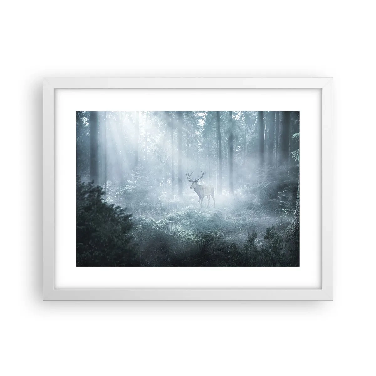 Poster în ramă albă - Plimbarea de dimineață prin regat - 40x30 cm