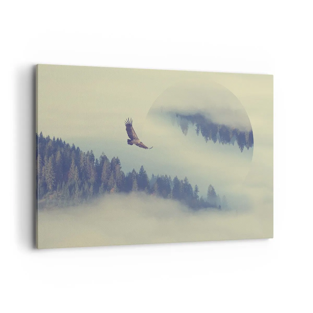 Tablou pe pânză - Am văzut umbra unui vultur - 120x80 cm