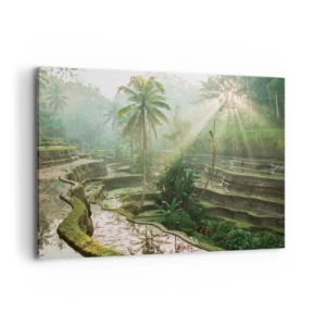 Tablou pe pânză - Crescând la soare - 100x70 cm