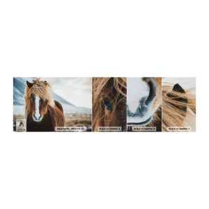Mostră de Tapet Standard Eco - Simțiți libertatea? - Cal, Natură, Animale - 100x30 cm