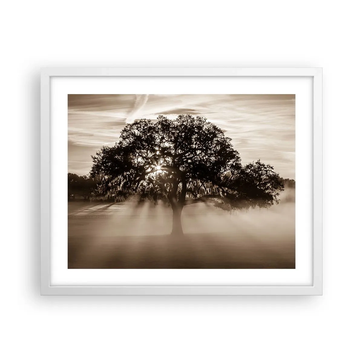 Poster în ramă albă - Un copac de vești bune - 50x40 cm