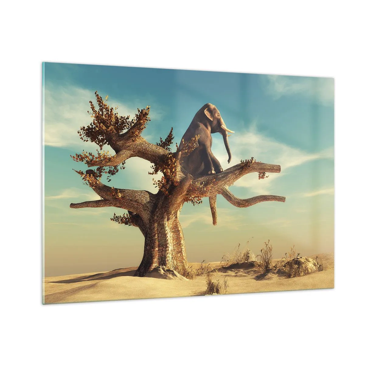 Tablou pe sticlă - Un nou punct de vedere - 100x70 cm