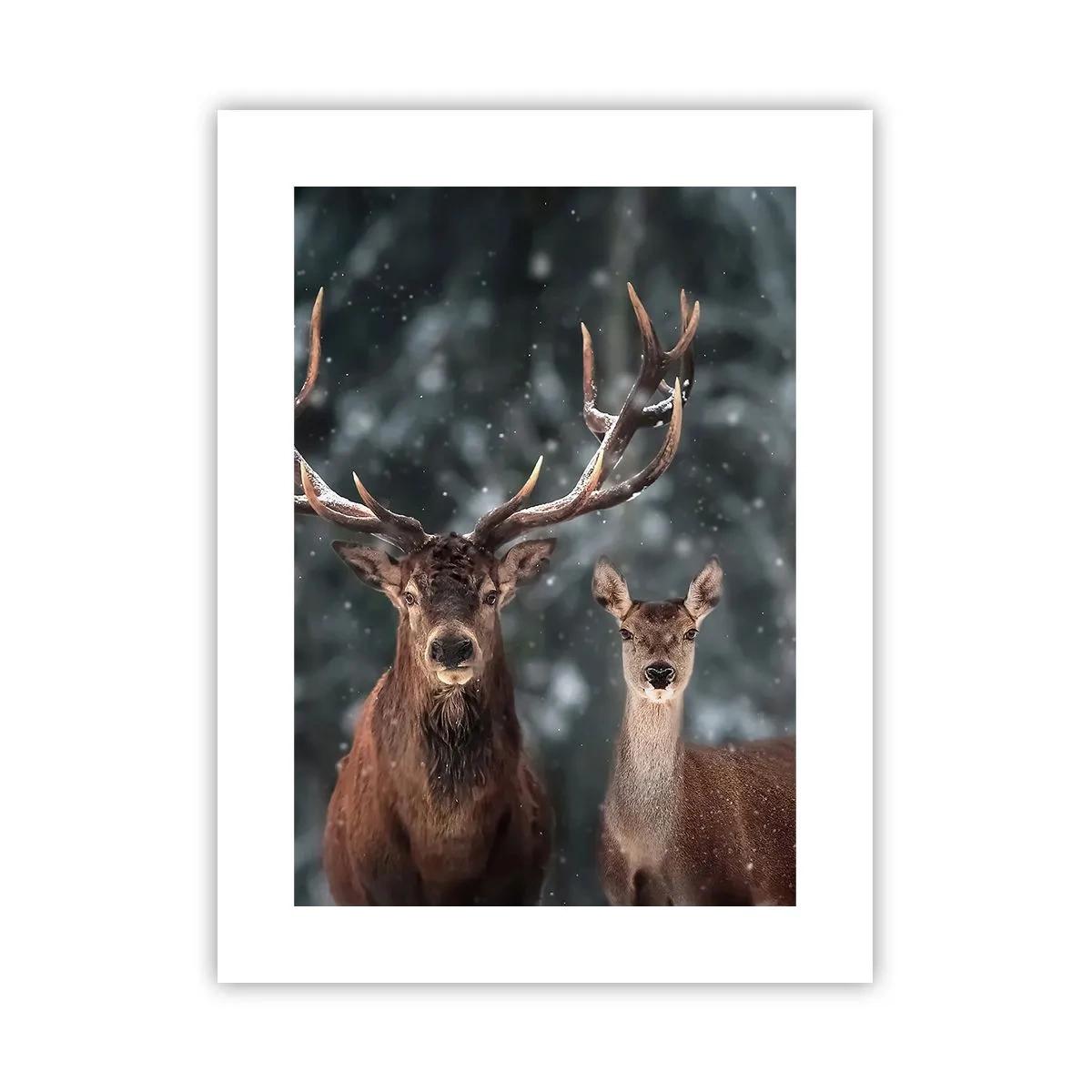 Poster - Stăpânul pădurii și soția sa - 30x40 cm