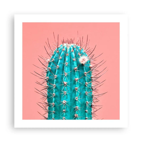 Poster - Doar privește - 50x50 cm