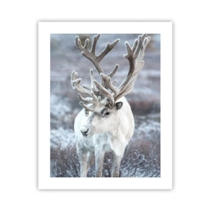 Poster - Portret la soare - 40x50 cm