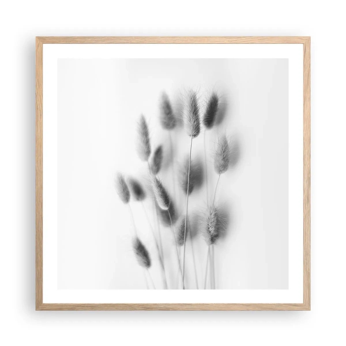 Poster în ramă de stejar deschis - Pufoșenia ierbii - 60x60 cm