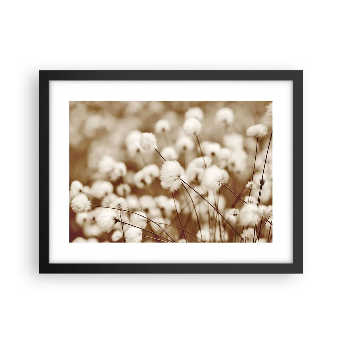 Poster în ramă neagră - Câmp pufos - 40x30 cm
