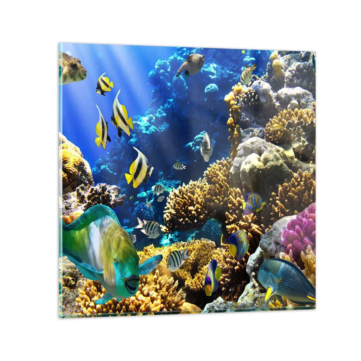 Tablou pe sticlă - Trafic intens pe traseul de vacanță - 40x40 cm