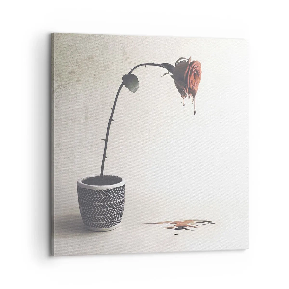 Tablou pe pânză - Rosa dolorosa - 60x60 cm