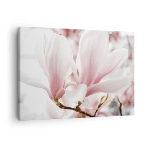 Tablou pe pânză Canvas - Flori delicate de magnolie în nuanțe pastelate - 70x50cm - Imensitatea sensibilității - Decorațiune modernă pentru perete pentru living și dormitor ARTTOR