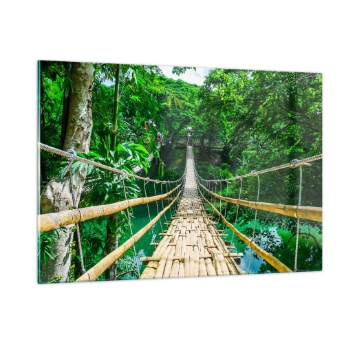 Tablou pe sticlă - Pod de maimuțe peste verdeață - 120x80 cm