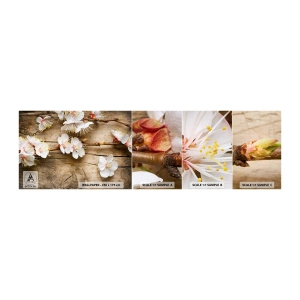 Mostră tapet autocolant Deluxe Sticker - Şi a fost primăvara - Flori, Crenguta Cu Flori, Natură - 100x30 cm