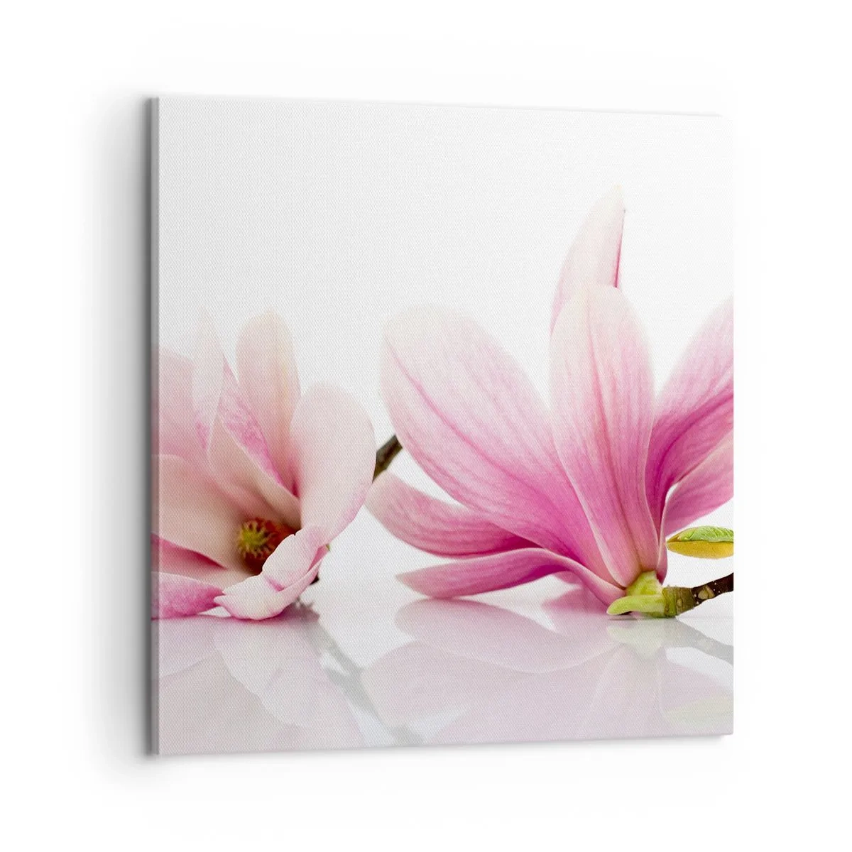 Tablou pe pânză - Delicate ca o adiere de primăvară - 60x60 cm