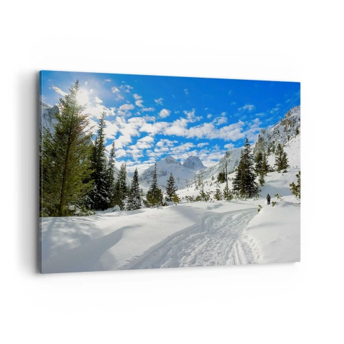 Tablou pe pânză - În zăpadă și soare - 100x70 cm