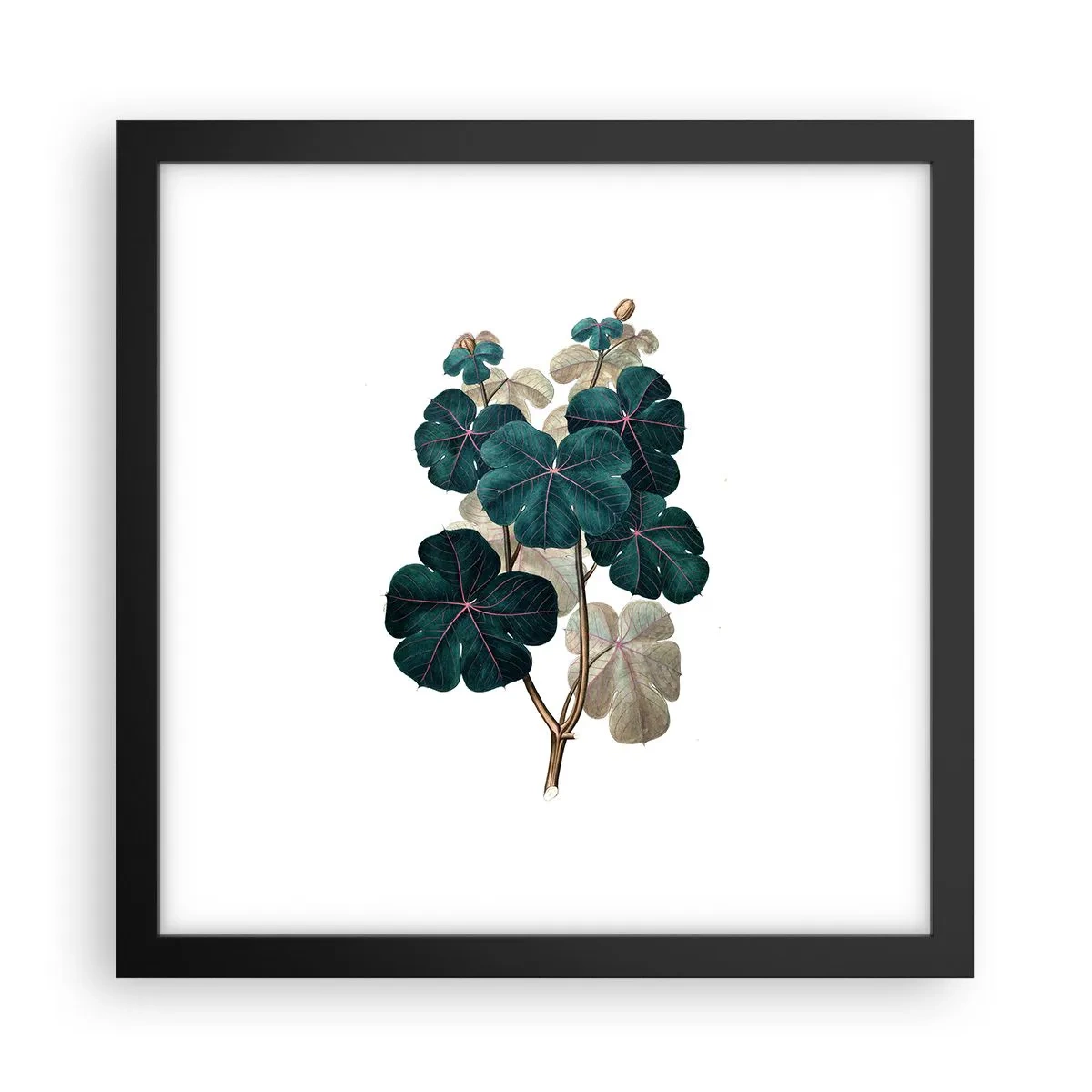 Poster în ramă neagră - Dintr-un vechi ierbar - 30x30 cm