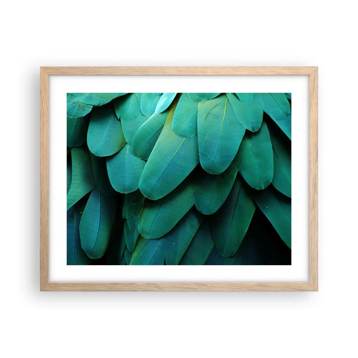 Poster în ramă de stejar deschis - Precizia naturii papagalicești - 50x40 cm