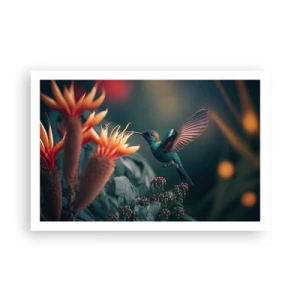 Poster - Viață cu adevărat colorată - 91x61 cm