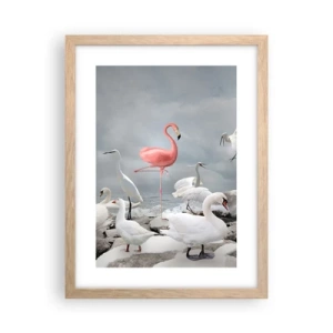 Poster în ramă de stejar deschis - De unde am venit? - 30x40 cm