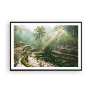 Poster în ramă neagră - Crescând la soare - 91x61 cm