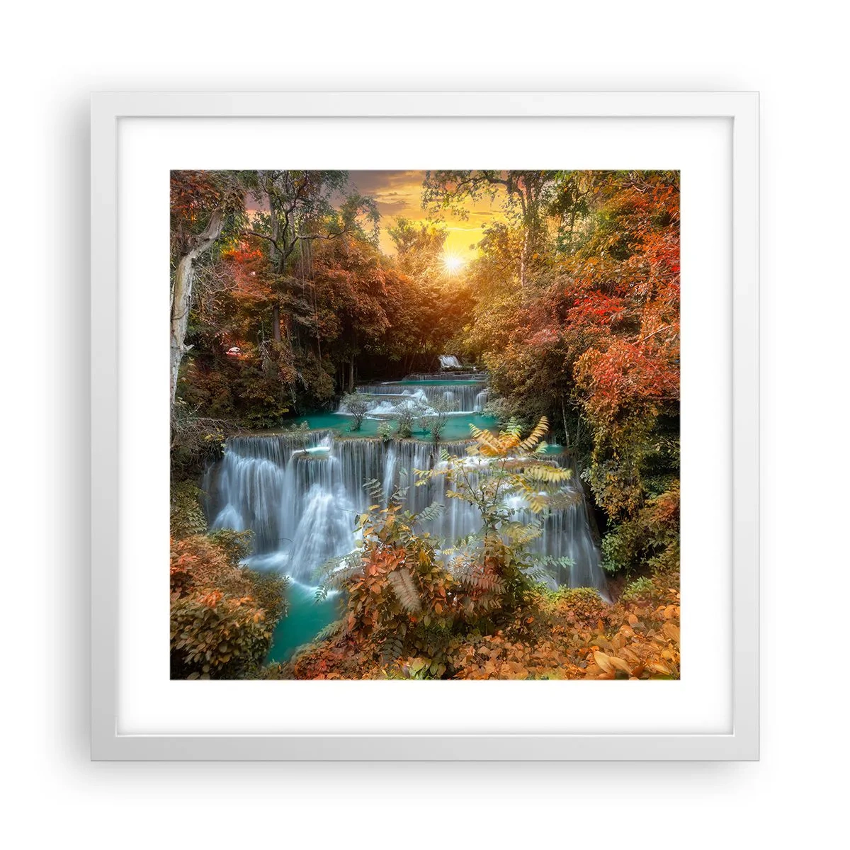 Poster în ramă albă - Comoara ascunsă a pădurii - 40x40 cm