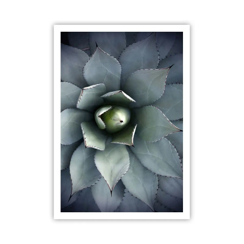 Poster - Momește și avertizează - 70x100 cm