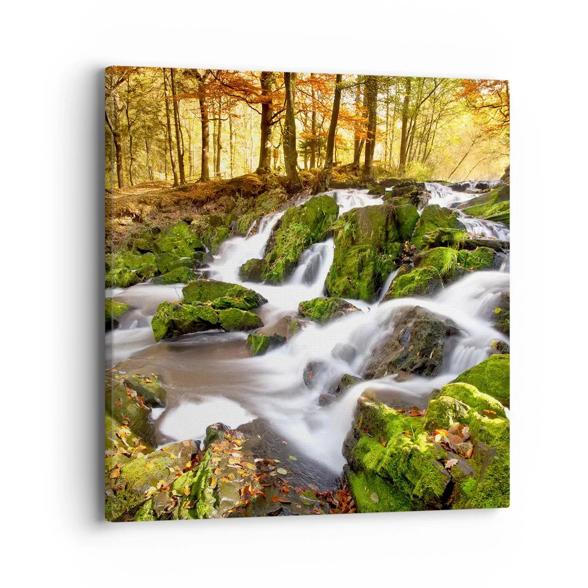 Tablou pe pânză - Repede prin pădure de toamnă - 40x40 cm