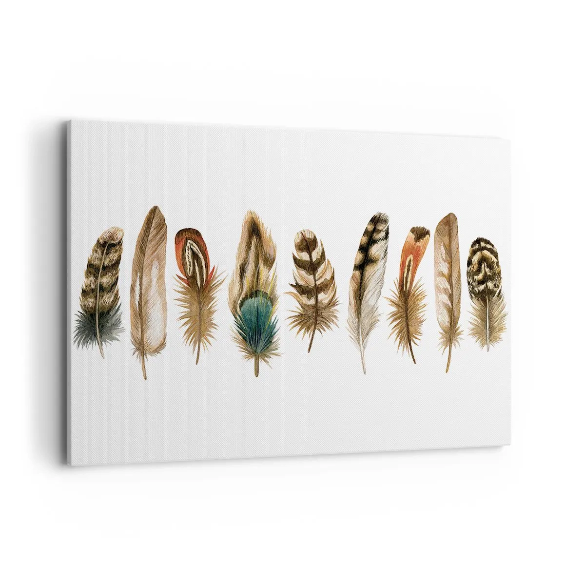 Tablou pe pânză - Variație cu pene - 100x70 cm