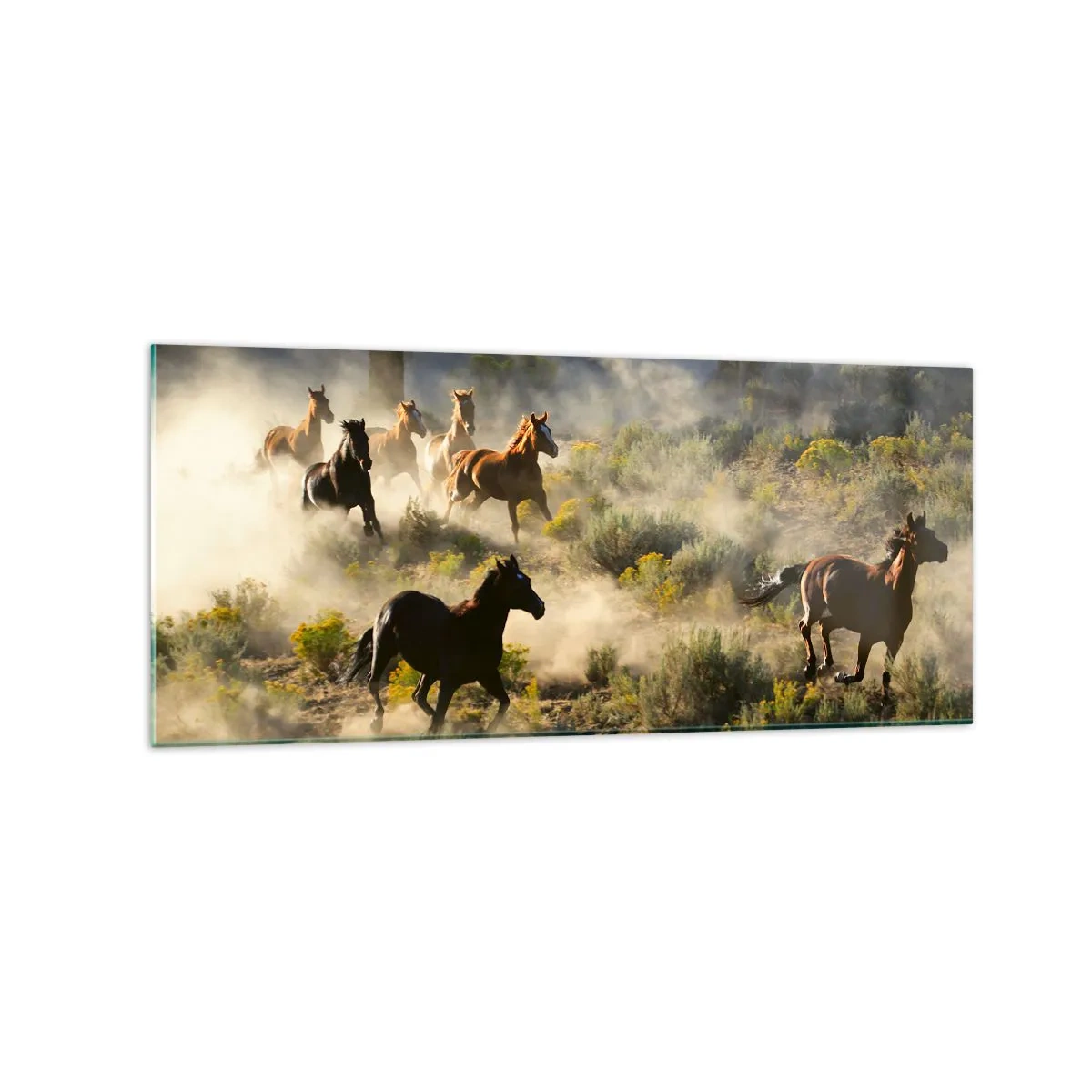 Tablou pe sticlă - Rivalitatea - libertate sau putere masculină? - 120x50 cm