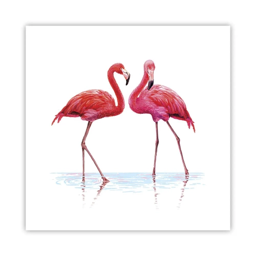Poster - Pink randez-vous - 40x40 cm