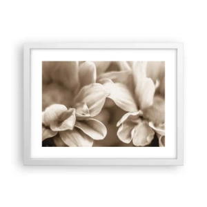 Poster în ramă albă - Blânde ca un zâmbet - 40x30 cm