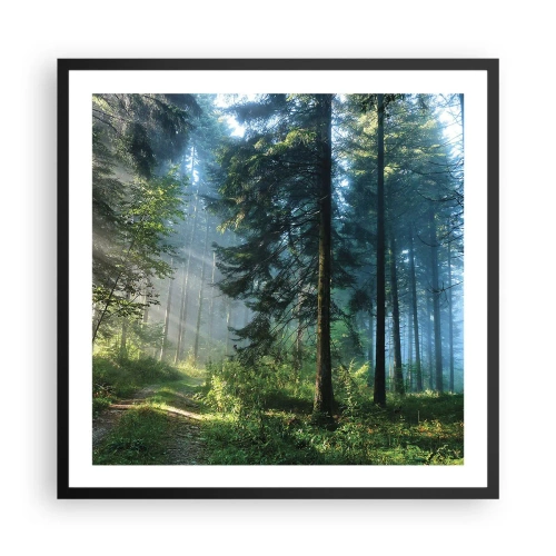 Poster în ramă neagră - Strălucirea de dimineață - 60x60 cm