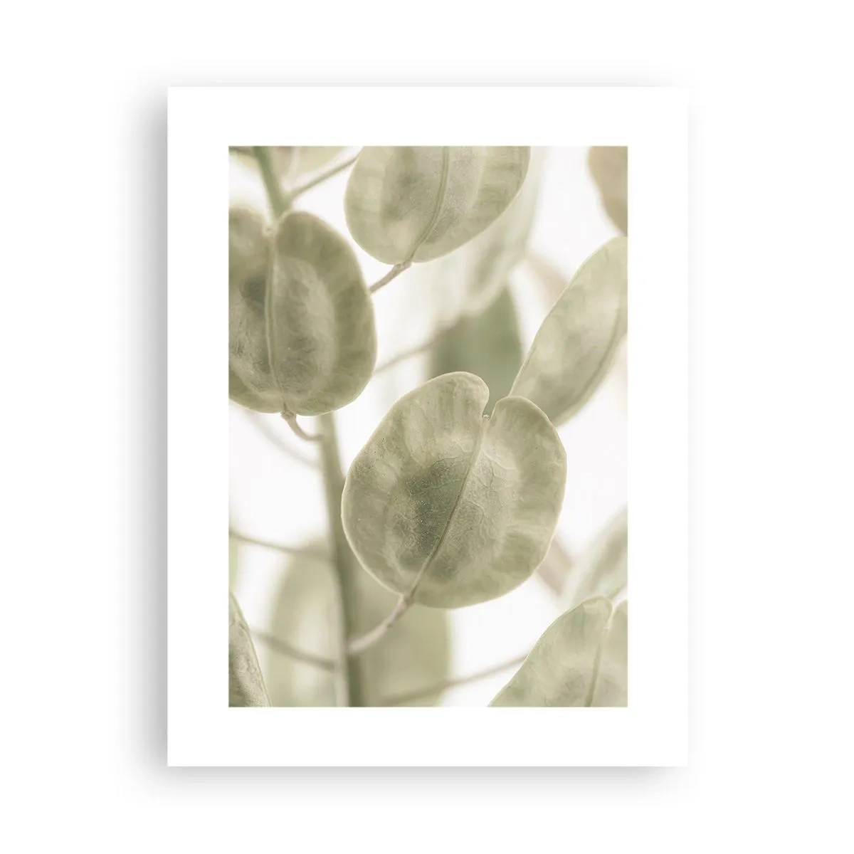 Poster - La început au fost frunzele... - 30x40 cm