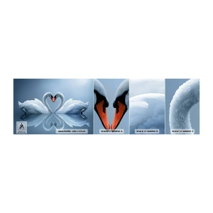 Mostră tapet autocolant Deluxe Sticker - Timp pentru dragoste - Lebedele, Dragoste, inima - 100x30 cm