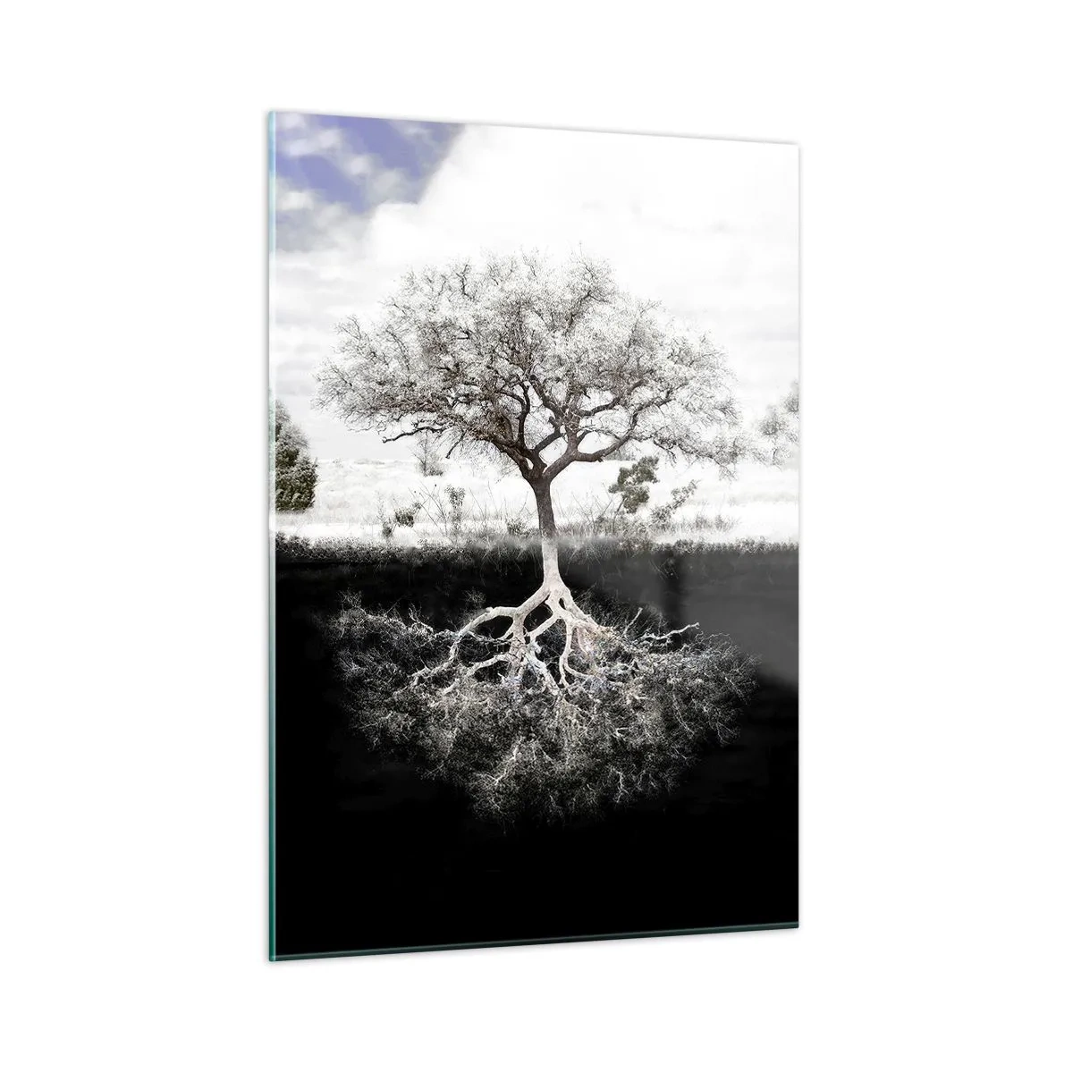 Tablou pe sticlă - Descoperire - 50x70 cm