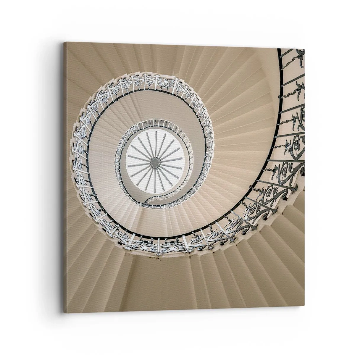 Tablou pe pânză - În interiorul cochiliei - 70x70 cm