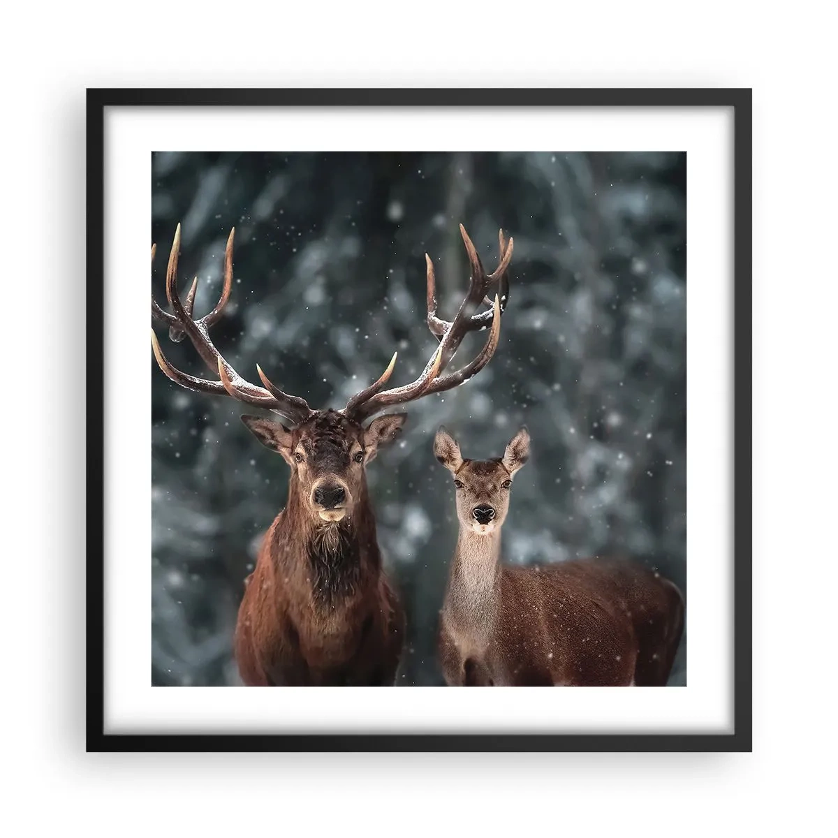 Poster în ramă neagră - Stăpânul pădurii și soția sa - 50x50 cm