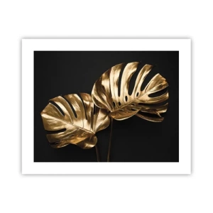 Poster - Comorile naturii - 50x40 cm