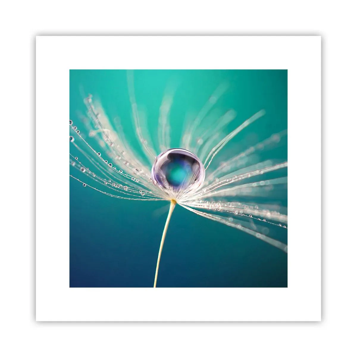 Poster - Moment mistic - 30x30 cm