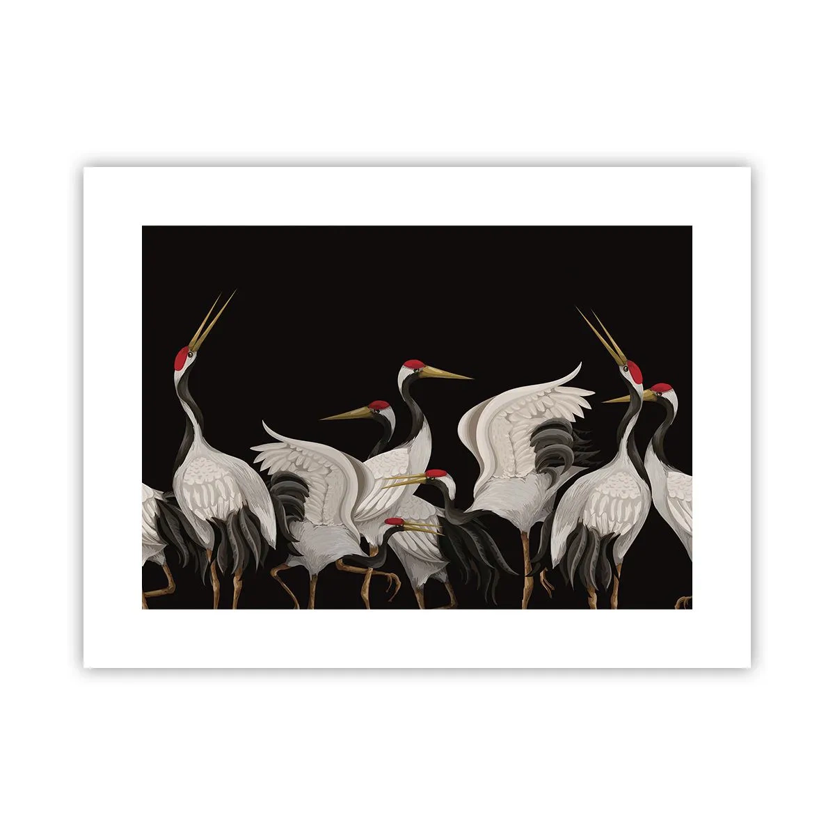 Poster - Problemele importante ale păsărilor - 40x30 cm