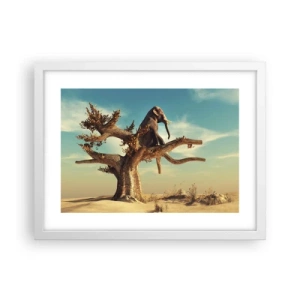 Poster în ramă albă - Un nou punct de vedere - 40x30 cm